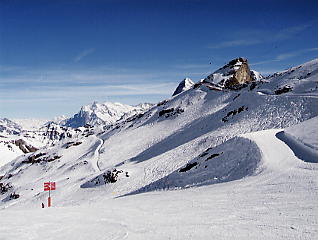 �O�����f�������g_�V���g�z����_�R�[�X