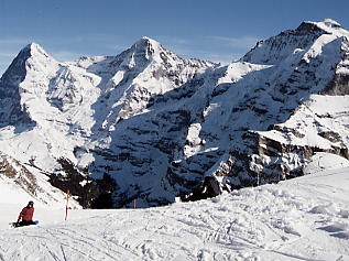 �O�����f�������g_�V���g�z����_�R�[�X