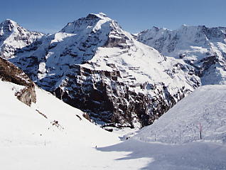 �O�����f�������g_�V���g�z����_�R�[�X