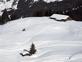 �O�����f�������g_�V���g�z����_�R�[�X