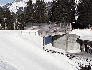 �O�����f�������g_�V���g�z����_�R�[�X