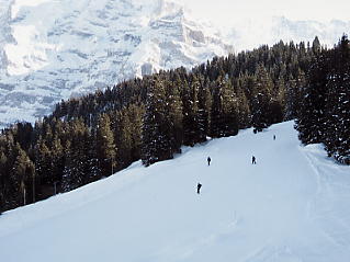 �O�����f�������g_�V���g�z����_�R�[�X