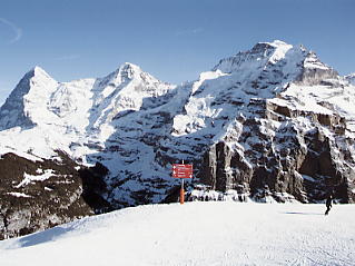 �A���v�X�O�R