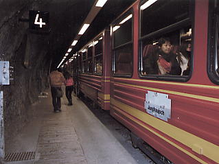 �����O�t���E���b�z�F�����O�t���E�S��