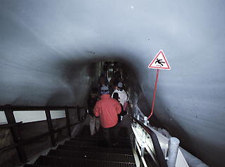 �����O�t���E���b�z�F�A�C�X�p���X