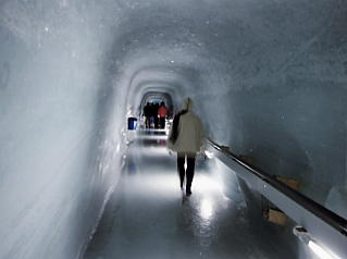 �����O�t���E���b�z�F�A�C�X�p���X