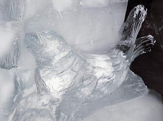 �����O�t���E���b�z�F�X�̋{�a