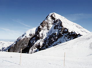 �����O�t���E���b�z�F�����q