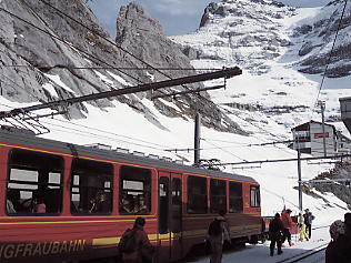 �����O�t���E���b�z�F�A�C�K�[�O���b�`���[