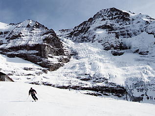 �����O�t���E���b�z�F�A�C�K�[�O���b�`���[