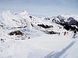 �����O�t���E���b�z�F�`���b�Q