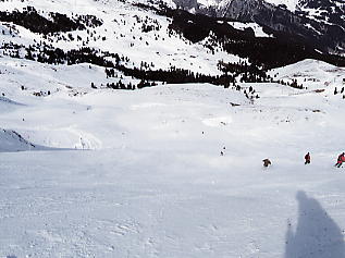 �����O�t���E���b�z�F�N���C�l�V���C�f�b�N