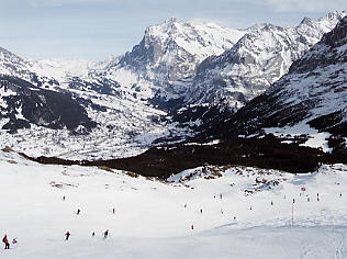 �x�b�^�[�z����