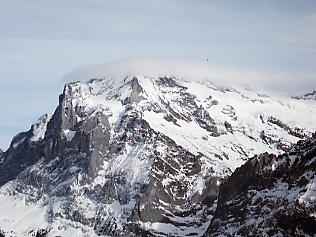 �x�b�^�[�z����