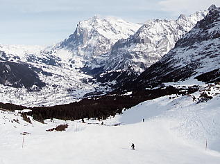 �x�b�^�[�z����