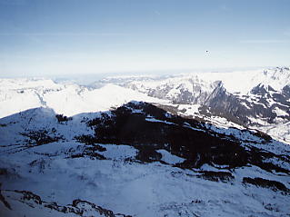 �����O�t���E���b�z�F�@�A�C�K�[���@���h