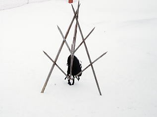 First�@Grindelwald