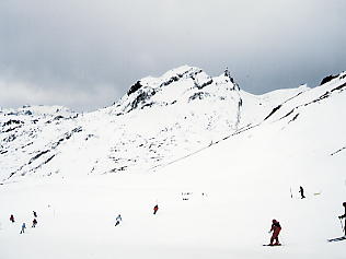 �O�����f�������g�@�t�B���X�g