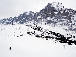 �O�����f�������g�@�t�B���X�g