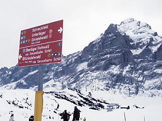 �O�����f�������g�@�t�B���X�g