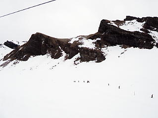 �O�����f�������g�@�t�B���X�g