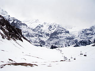 �O�����f�������g�@�t�B���X�g