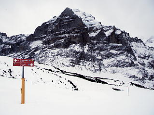 �O�����f�������g�@�t�B���X�g