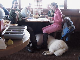 �O�����f�������g�@�t�B���X�g