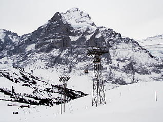 �O�����f�������g�@�x�b�^�[�z����