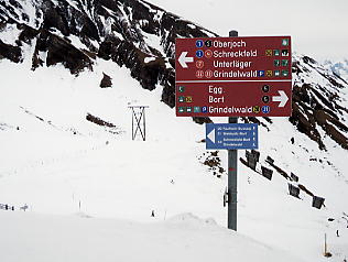 First�@Grindelwald