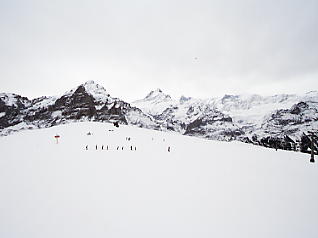 First�@Grindelwald