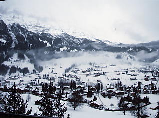 �J�̃O�����f�������g