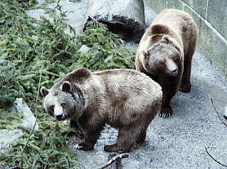 �x�����F�F