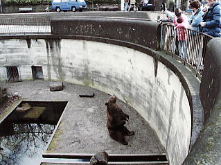 �x�����@�F����