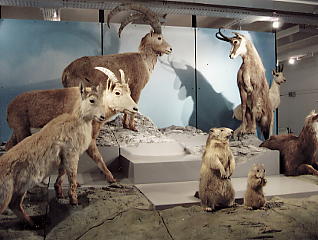 �x�����F������