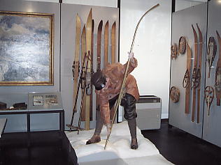 �x�����F������