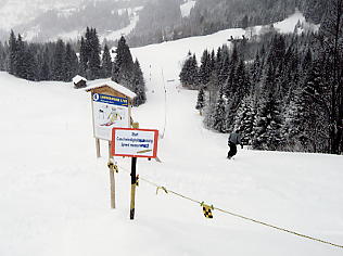 �O�����f�������g�F�����~