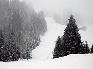 �O�����f�������g�F