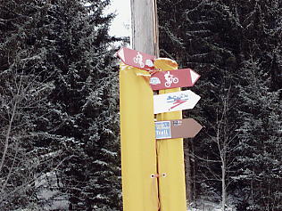 �O�����f�������g�F