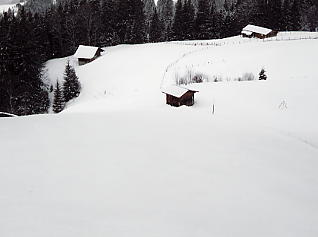 �O�����f�������g�F