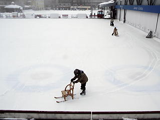 �J�[�����O