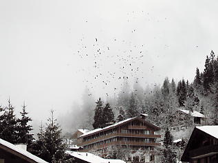 �O�����f�������g�F��