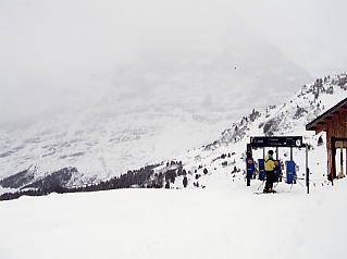 �O�����f�������g�@�A�C�K�[