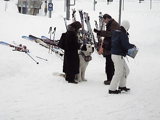 �O�����f�������g�F�Z���g�o�[�i�[�h