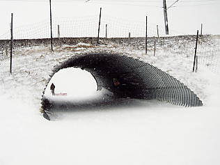 �O�����f�������g�F