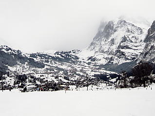 �O�����f�������g�F�x�b�^�[�z����