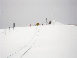 �O�����f�������g�F