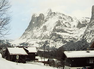 �x�b�^�[�z����