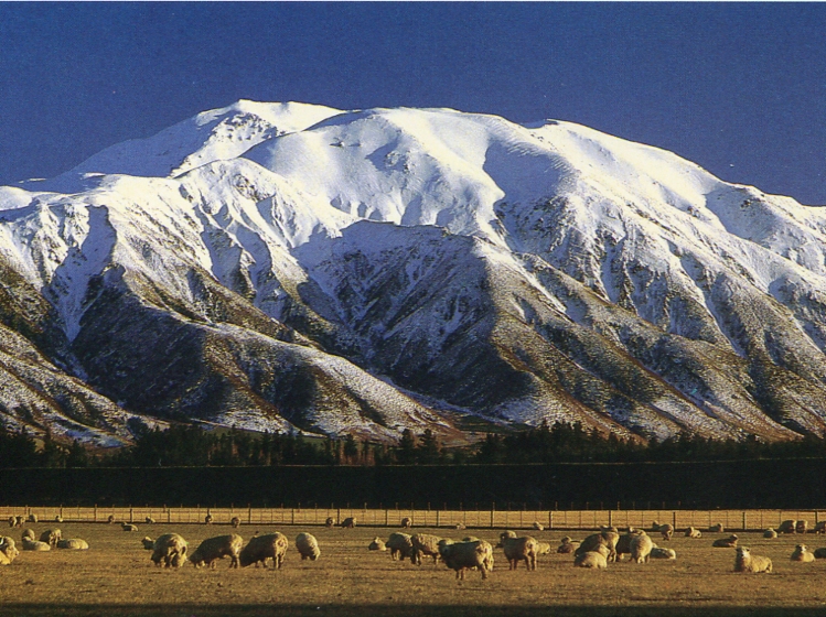 �}�E���g�n�b�g