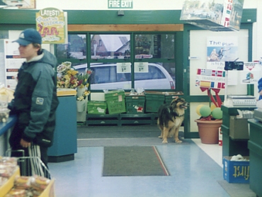 ���X�x��